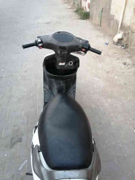 دولفين ياباني نكره سلف مفتوح بس بستم سعر ٥٥٠مكاني رميثه رقمي *********** ماتواجد عل نت
