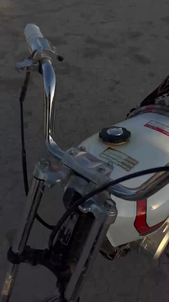 مراوس ماكس مال العب فقط


**إذا كنت صاحب هذا الإعلان وتريد حذفه لأي سبب، رجاءا أرسل رسالة إلى الدعم الفني**