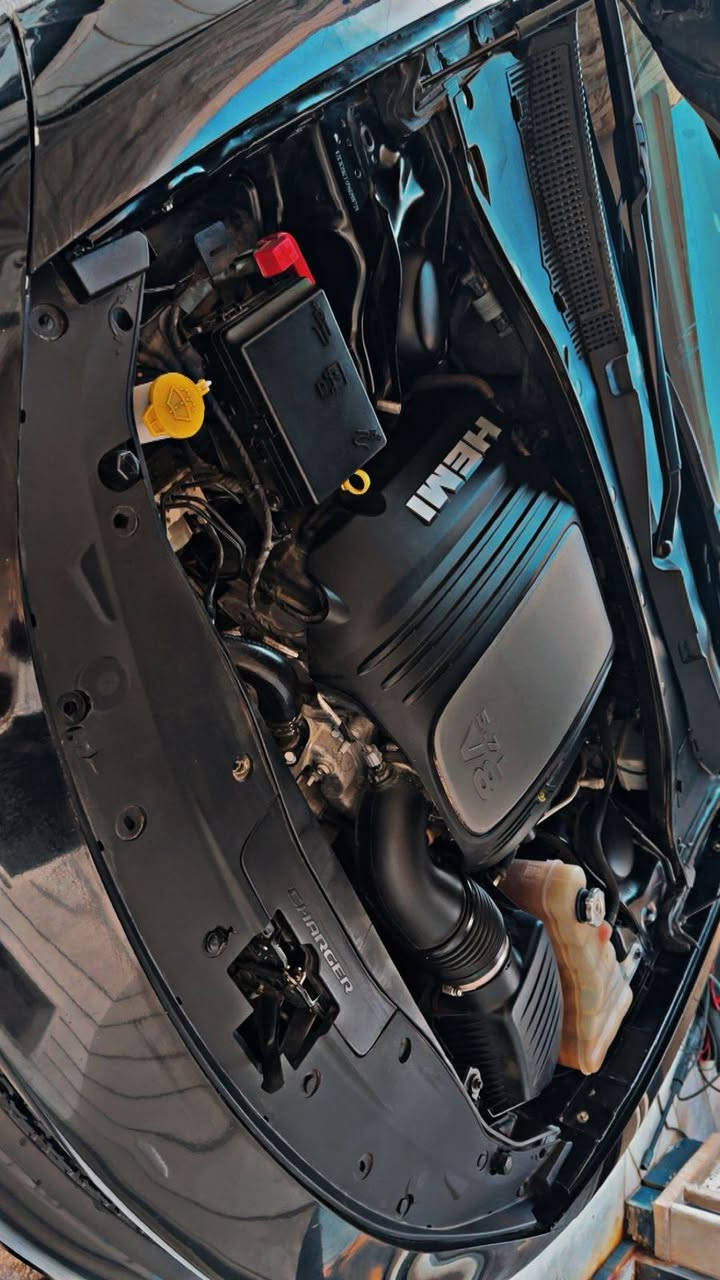 🚗 دوج جارجر RT موديل 2023
هيمي 
النداء الأخير 🔥

• مواصفات نص فول
• تبديل الجاملغين نفس اللون
• تبديل باب السايق نفس اللون
• الحادث سطحي فقط
• بدون فتح ايرباك وبدون أي ضرر داخلي
• باب السايق مصبوغ نصه
• السيارة نظيفة وجديدة

للاستفسار اتصل وبخدمتك
***********
***********
