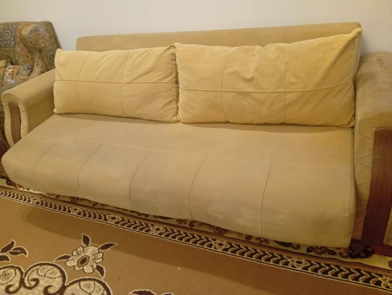 تخم للبيع تركي أبو سرير ١٠٠سعر***********
