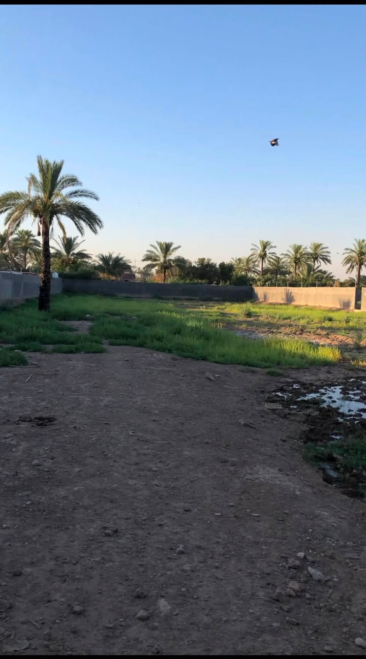 (دونمين مسيجة )طابو ملك صرف سند ٢٥ للبيع في منطقة المدائن  كافة الخدمات ماء و كهرباء تحويل ثاني يوم في طابو المدائن 

((سعر مناسب جداً ))تحويل ثاني يوم في طابو المدائن

للاستفسار 

***********

او مراسلة الصفحة
