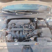 النتره ٢٠٢٢ • فول اوبشن • رقم اربيل