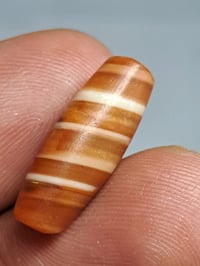 مختلفة • اصيلة • ملاكط