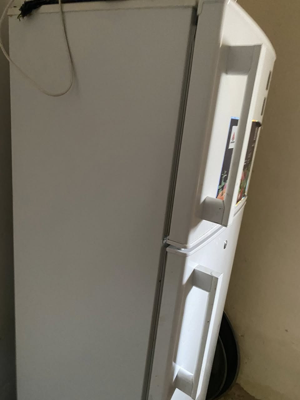 ثلاجه اخت الجديده بالحقيقه اكبر من صوره استخدام اشهر السعر 250


**إذا كنت صاحب هذا الإعلان وتريد حذفه لأي سبب، رجاءا أرسل رسالة إلى الدعم الفني**