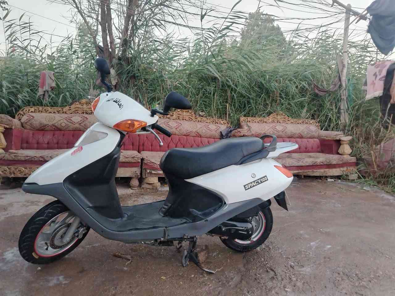 للبيع دراجه سبيسي ماليزي نظيفه
دراجه مفتوحه الي يريدهة هذا رقمي ***********
الموشراي لا يتعبني  سعرهة ب٤٥٠ وبيه مجال
