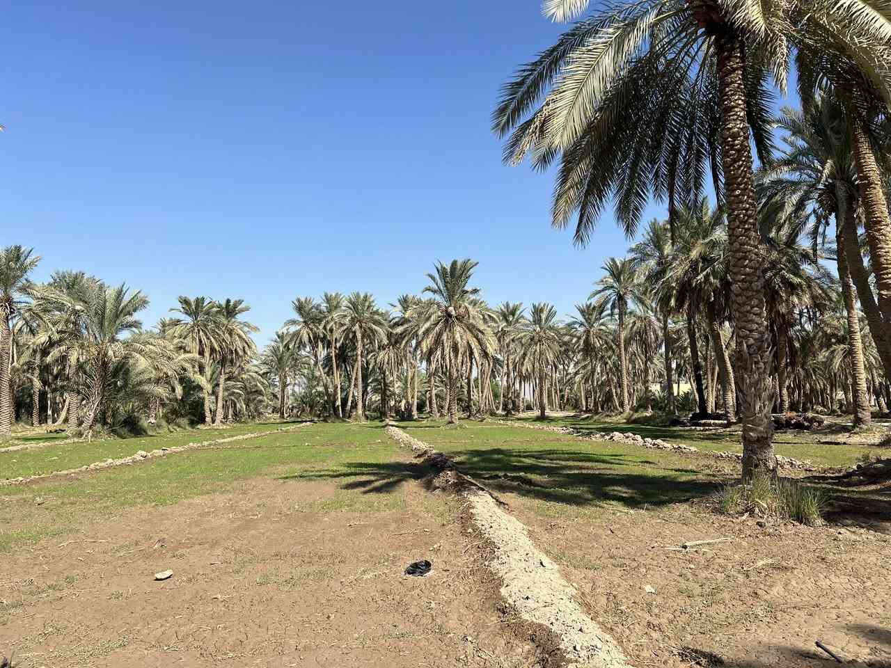 سلام عليكمً ارض طابو زراعي للبيع ام نعجه 301 او 256متوفر كافت الخدمات المساحه 5 دونم 

‭0783 885 1910‬
