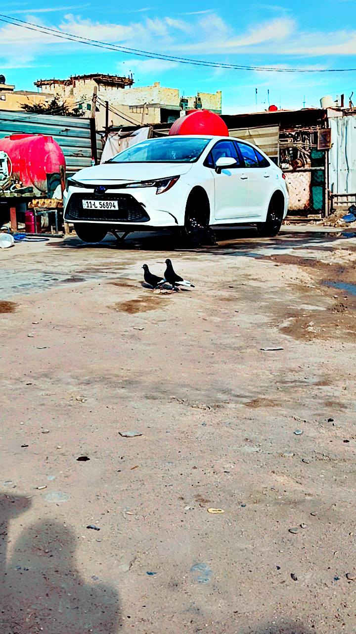 السلام عليكم كورله امريكي 2022 ضرر بنيد مبدل ول بدنه معدله ضرر بسيط وجاملغ بارد دكات بي وباب مشخوط حادث امريكه فقط مابيه شي بل عراق مكاني بغداد الحريه مكينه مكفوله كير مكفول  تبريد ثلج تايرات تخم جديد باتري جديد مال جناي متصرف عليه ربع دينار 
عارضه ب 150 ***********
