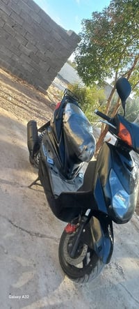 سكنس فحل • رامبو • جديدة