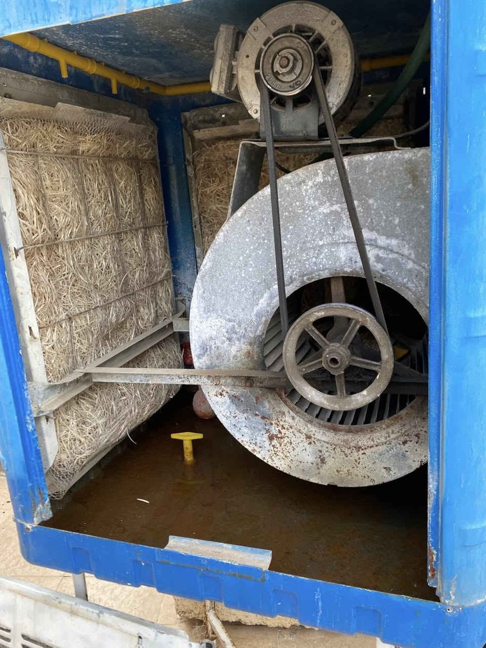 دەرەجە یەکی موبەریدە سوپەر ئەلکتریک ماتۆڕی ئەوروپی عەسڵ  قیاسی دوو نیو نرخی ٨٥ هەزار لە سلێمانی


**إذا كنت صاحب هذا الإعلان وتريد حذفه لأي سبب، رجاءا أرسل رسالة إلى الدعم الفني**