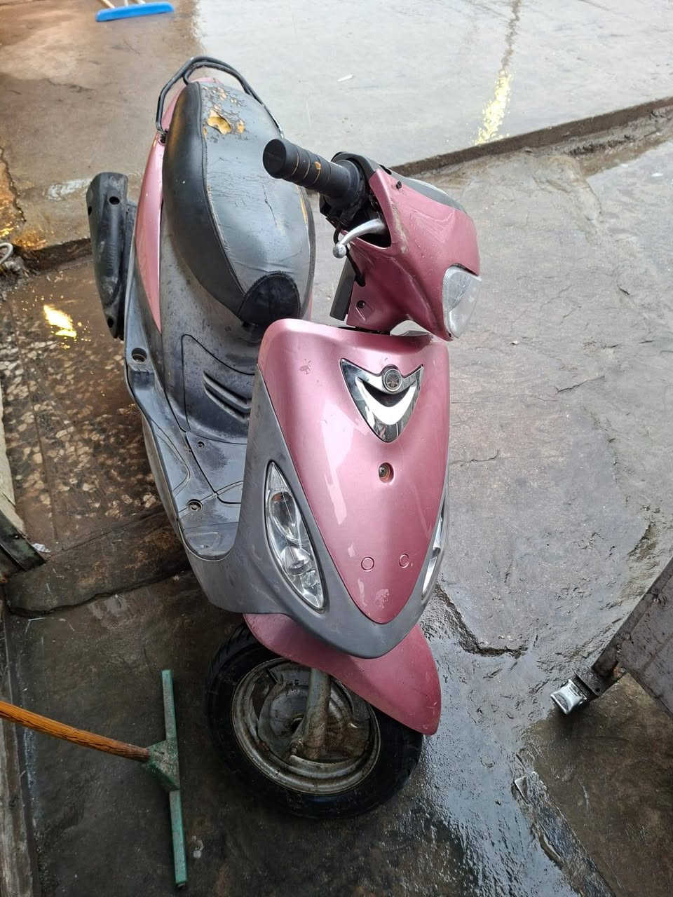 البيع ماكس منغولي كلها بلاديه مكاني العامريه ***********
