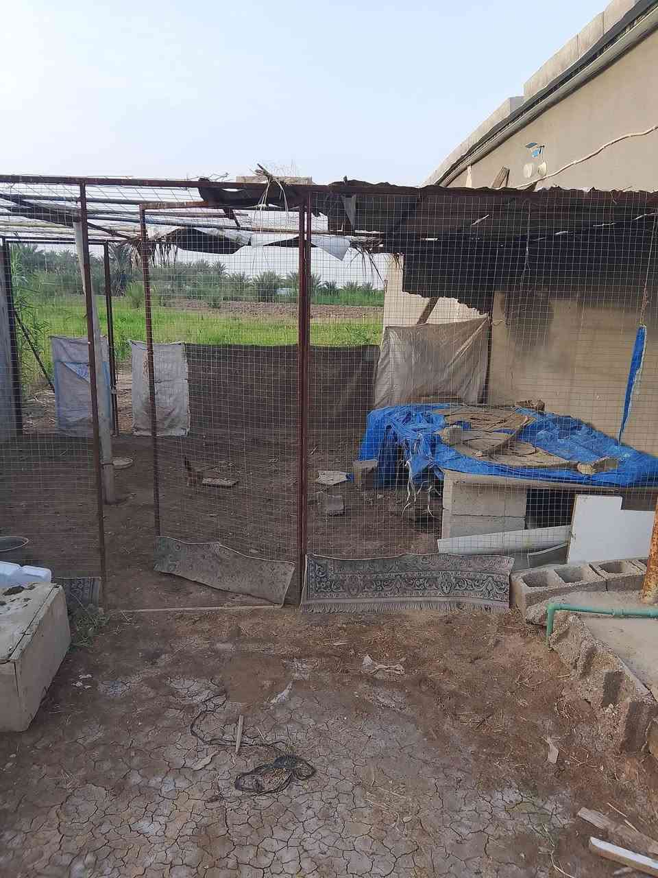 السلام عليكم 

دار للبيع مساحة937 متر
تحتوي على غرفة نوم استقبال مطبخ معة صالة مسشرك حسب الموجود في الصورة 
العنوان حفرية قرية تاج الدين (ع)
السعر (45) وبيها مجال 
الاتصال ***********
