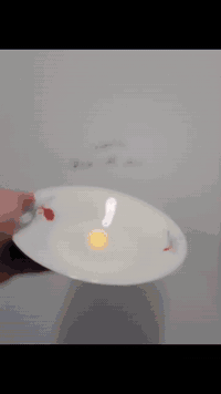 متوفر توصيل للحجز علئ الرقم الواتس اب ‏‪***********‬‏
