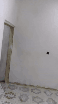 خلفه لبخ جرارسقل تشميع تصفير مصاطر ونثر وتقطيع ترايش واشتغل جص وبورك م...