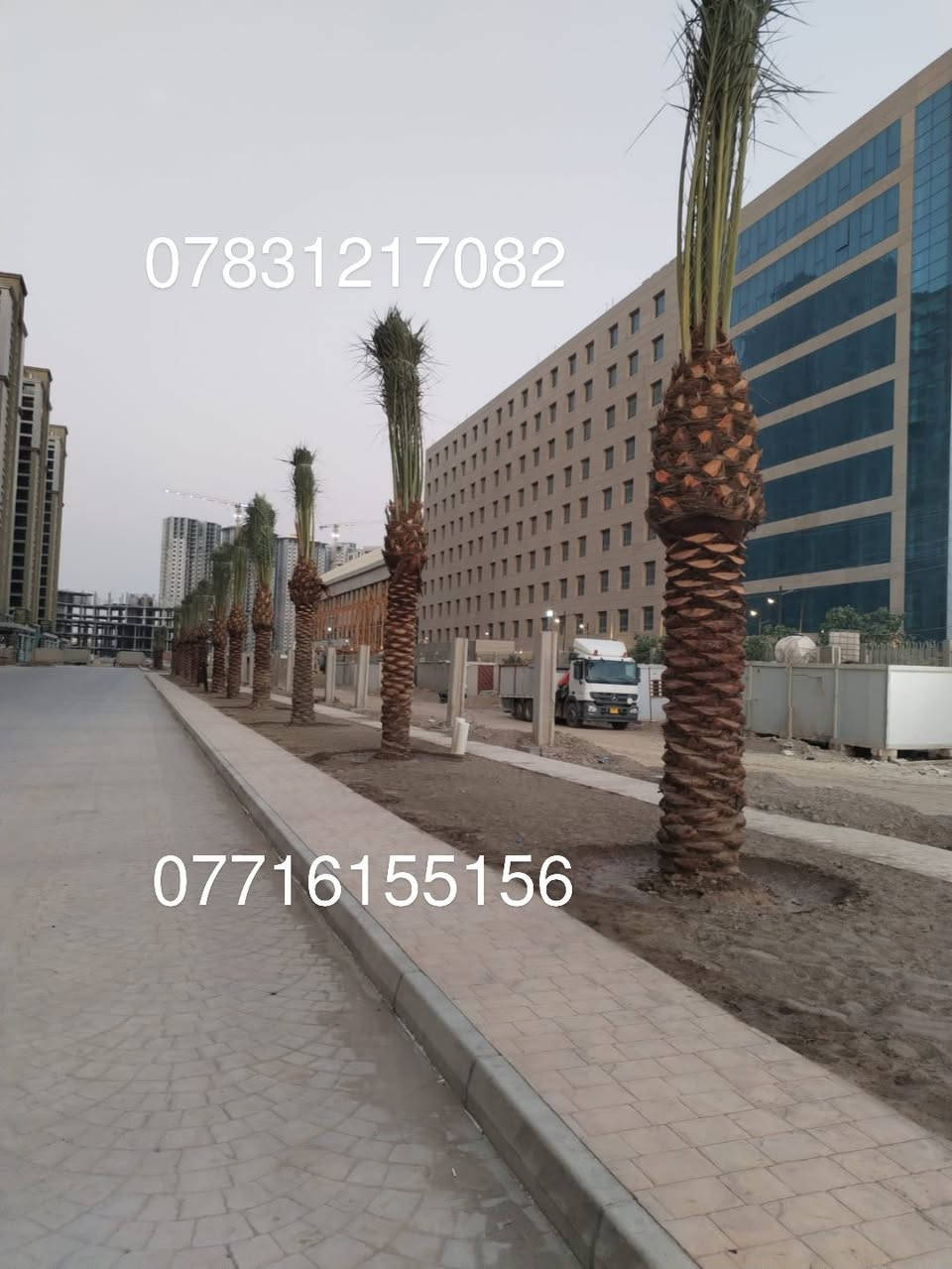 🌴 استثمر في الزراعة الذكية مع أفضل أنواع الفسائل! 🌴
*********** هل تطمح لتطوير مزارعك بمواصفات عالمية؟ ✅ نحن نوفر لك فسائل نادرة وجودة لا تُضاهى لتضمن نجاح مشروعك الزراعي.

🔸 فسائلنا المميزة تشمل:

خستاوي 🌱 | بريم 🌴 | عمران 🌿
تبرزل 🌳 | مكتوم 🌴 | جمالي 🍃
اشرصي 🌴 | بربن 🌿 | حمراوي 🌴
شكر 🌾 | شوثي أصفر 🌻
✨ لماذا نحن خيارك الأفضل؟

جودة مضمونة بتوثيق أمهات معتمدة.
نوفر كافة الأحجام حسب الطلب.
توصيل سريع وآمن لكل محافظات العراق 🚚.
خدمة مخصصة للمزارع، المشاتل، والدوائر الرسمية.
📞 للطلب أو الاستفسار:
اتصل على***********📱 *********** يتوفر واتساب 
📞 
📲 ***********
📞
متابعه لصفحه فضلا وليس امرإ
✨ استثمر اليوم وحقق أفضل العوائد!
تواصل معنا الآن عبر الصفحة أو الأرقام المذكورة، واجعل مشروعك الزراعي بداية نجاحك. 🌟
