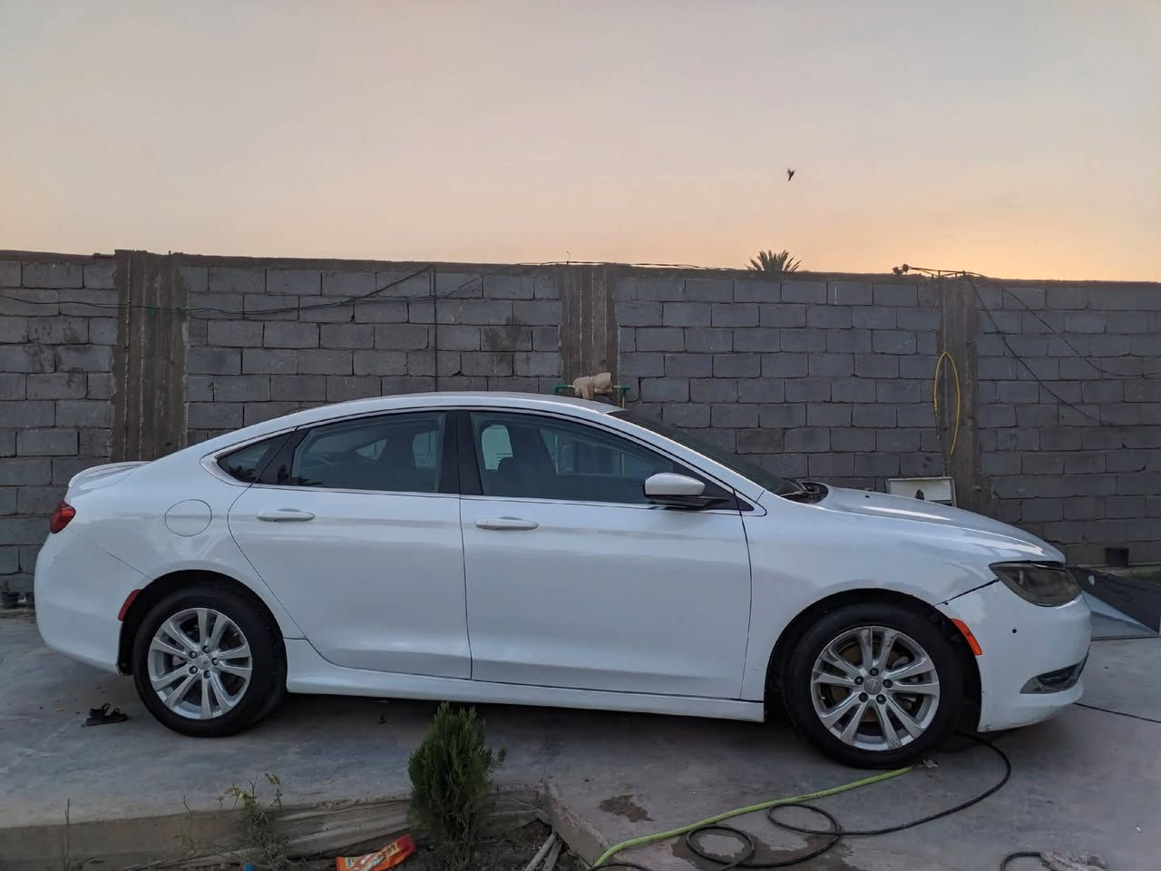 ✨ السلام عليكم وأهلاً بكم في NexShine Detailing ✨
إذا تريد ترجع سيارتك تلمع وكأنها جديدة، إحنا نوفرلك خدمة احترافية بأفضل المواد وأعلى جودة.
🔥 عرض خاص لفترة محدودة – فقط 100,000 دينار
🚗 الباقة تشمل:
✅ بوليش احترافي مرحلتين بمواد ألمانية أصلية. ✅ إزالة أغلب الخدوش السطحية وآثار البهتان. ✅ زيادة اللمعان وإظهار عمق لون السيارة. ✅ تنظيف داخلي  باحترافية. ✅ تنظيف السقف،الأرضية، الكشنات، الأبواب، والدشبول. ✅ تنظيف الزجاج من الداخل والخارج.
⭐ نستخدم مواد أصلية وآمنة على طلاء السيارة. ⭐ شغل يدوي مع اهتمام بأدق التفاصيل. ⭐ رضا الزبون هو أولويتنا.
📍مكاني بابل المسيب.
 للحجز والاستفسار: 📞 ***********
  (شغلي بالبيت)

