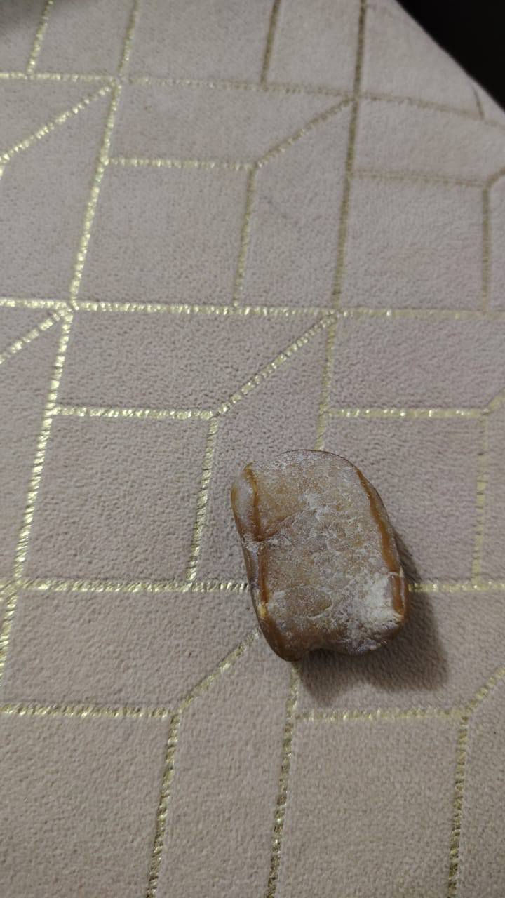 سليماني ملاكط صحراء الانبار مصور للبيع


**إذا كنت صاحب هذا الإعلان وتريد حذفه لأي سبب، رجاءا أرسل رسالة إلى الدعم الفني**