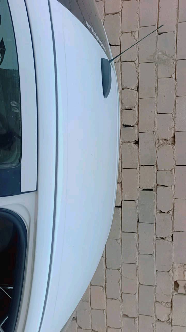 شوفر ليت سونك
