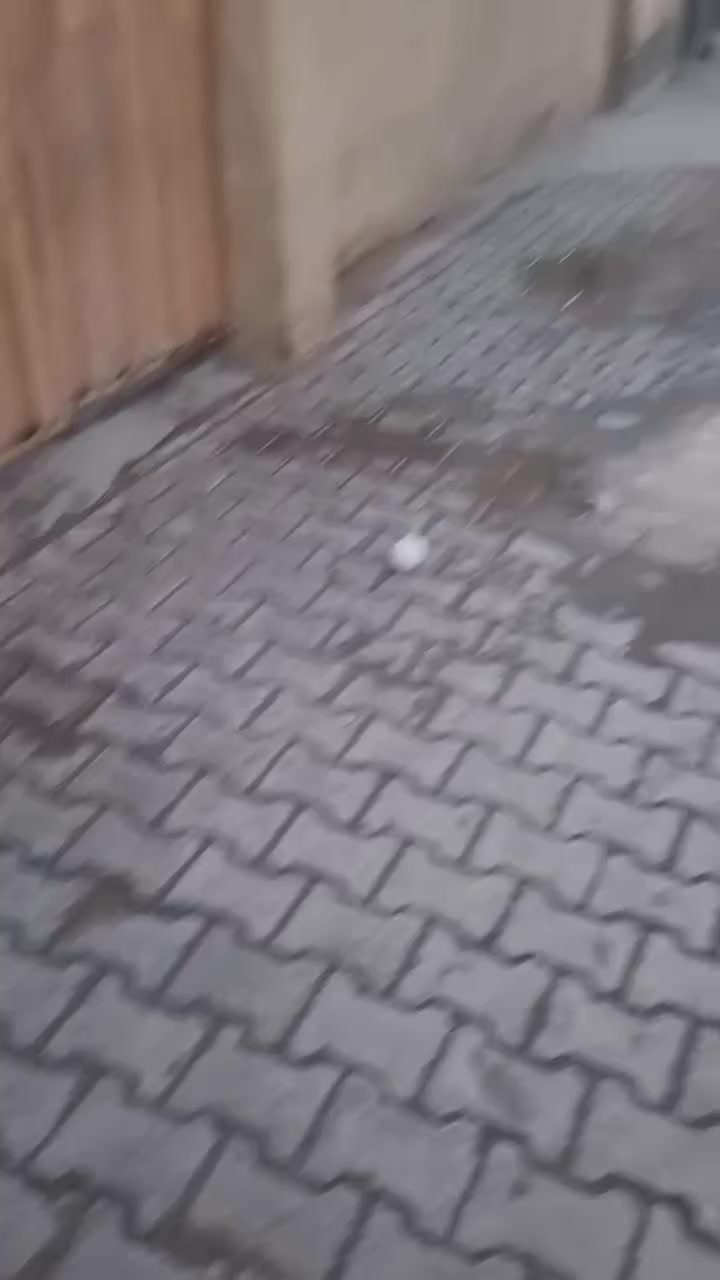 دار للبيع بالرضاويه الخامسه صفحه 120 
*********** صلاح الزيادي سعر 42
