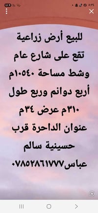 ٤ دوانم وربع • ٣٠ نخلة • طابو زراعي