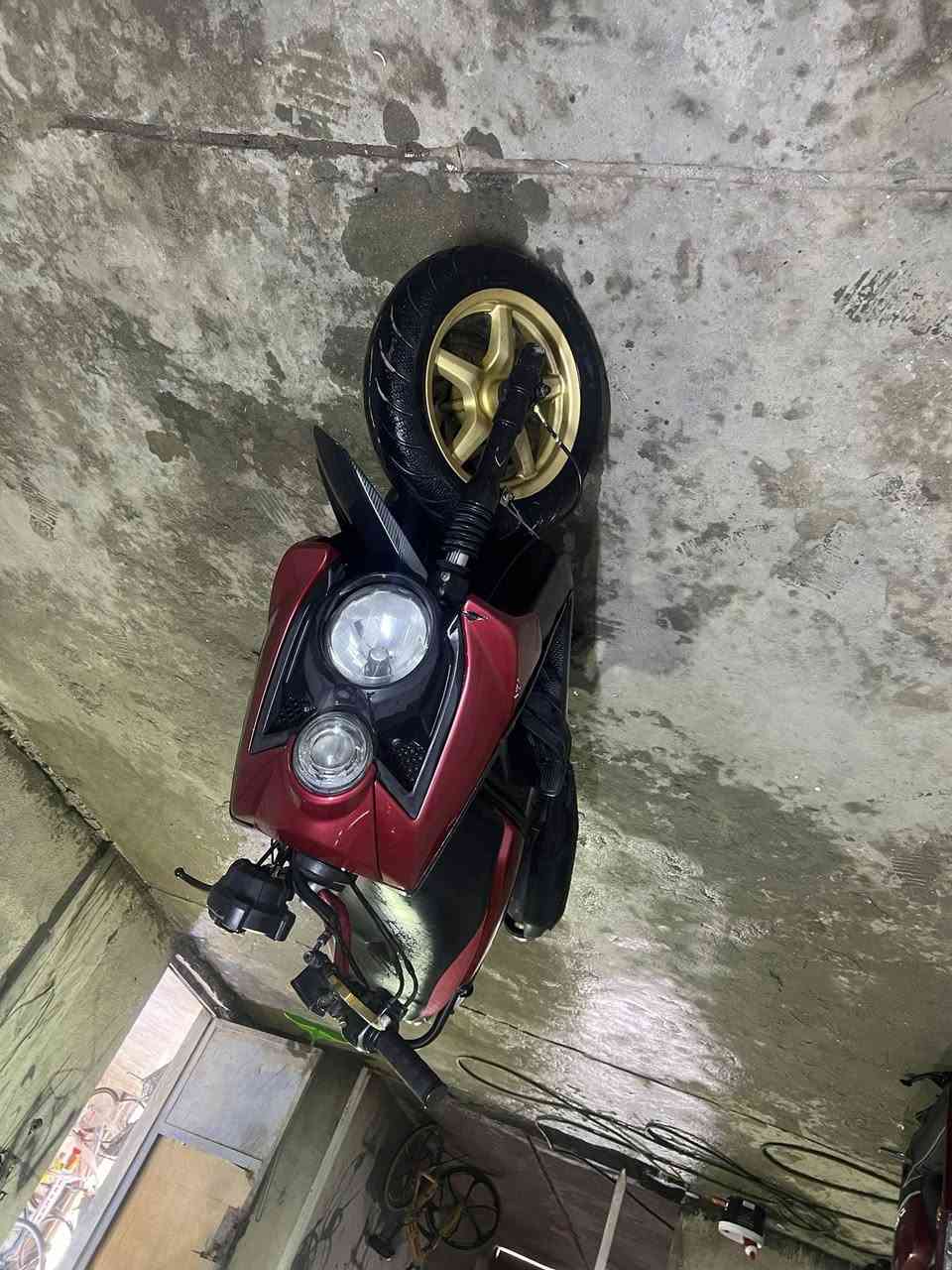 سكنس جبلي لبيع 
سوك الشيوخ 
***********
