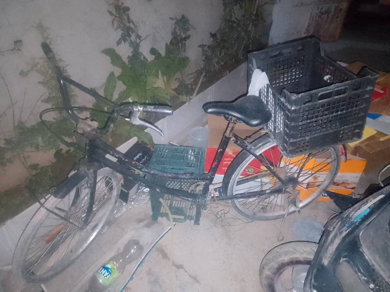 العنوان كركوك والسعر 20,000.


**إذا كنت صاحب هذا الإعلان وتريد حذفه لأي سبب، رجاءا أرسل رسالة إلى الدعم الفني**