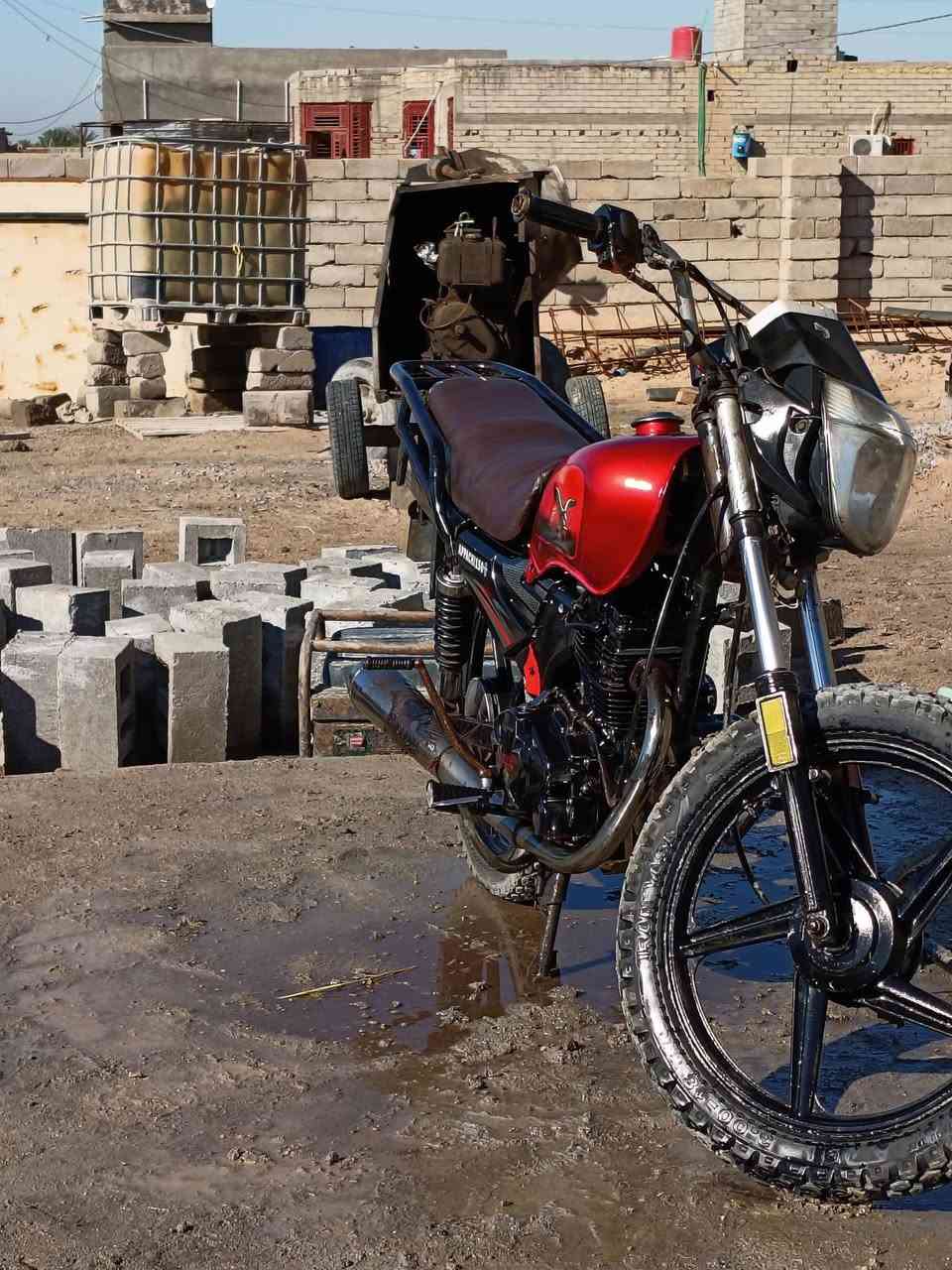 للبيع السعر 550 رقم الهاتف واتساب ***********
دراجه رقم و سنويه تحويل ثاني يوم
