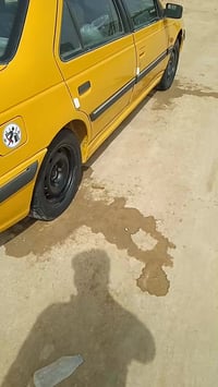 بيجو بارص • ٢٠١٣ • رقم بابل