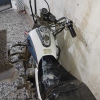 جونده • اوراق • كهربايات