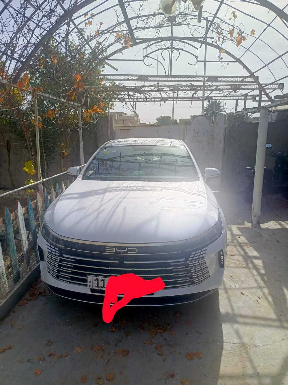 BYD 2025 دسترويل ماشية ٨٠٠ زيرو وضع الشركه سعر ١٩ مليون
***********
