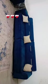 تخم تسكام • كنبة