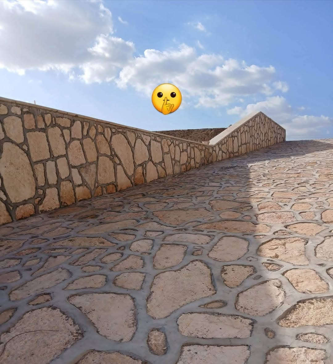 بناء جميع انواع الحجر 
رصف مزارع وسواقي و سنادين وجدران 
للاستفسار الاتصال:  ***********
