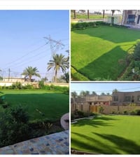 ثيل هندي متر مربع 3الاف توصيل مجاني تصال ع رقم 07850427222 أواتساب