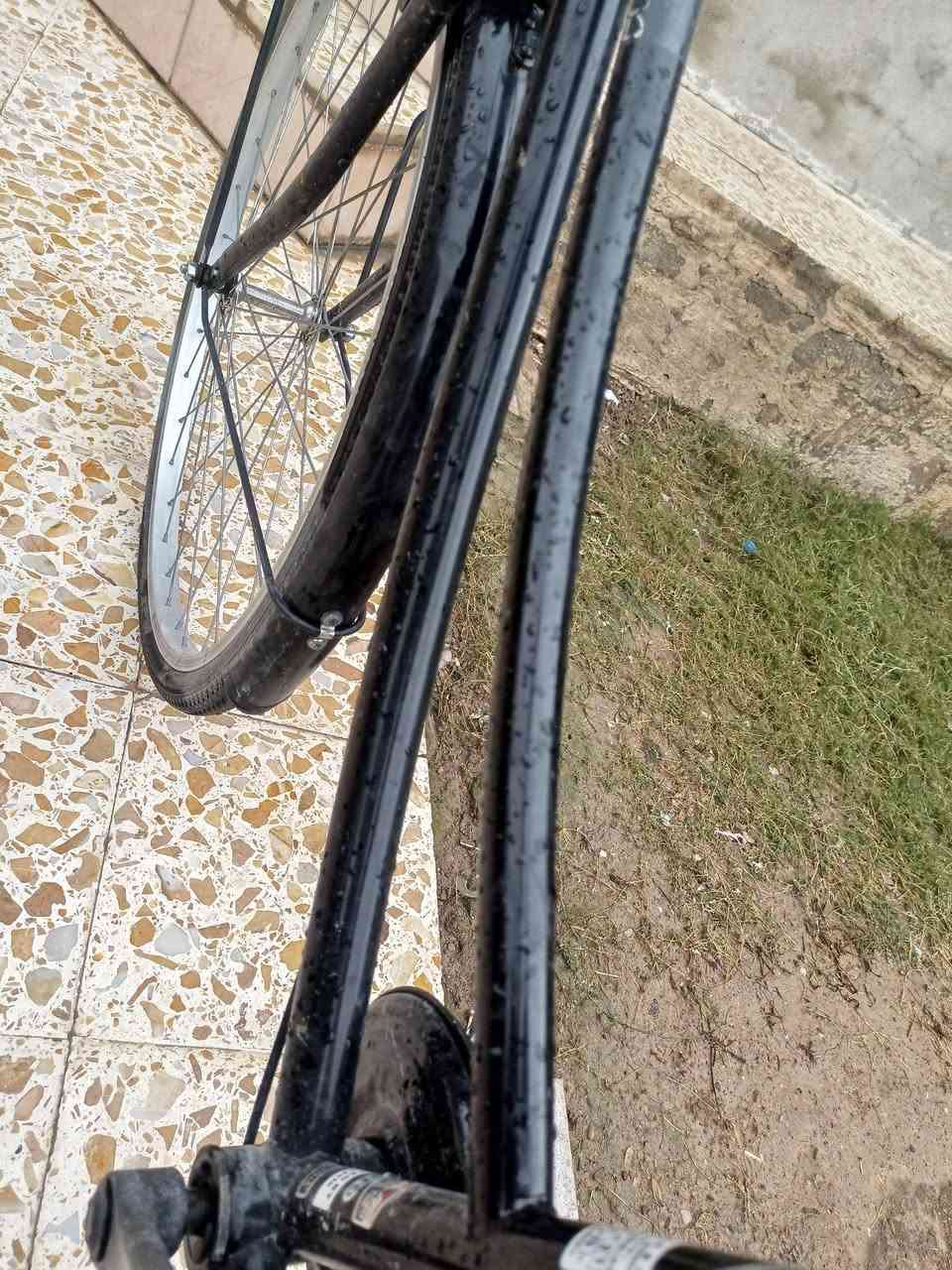 بيسكل عبدالحليم للبيع المكان جانب اليسر حي السماح السعر 95بي مجال بسيط


**إذا كنت صاحب هذا الإعلان وتريد حذفه لأي سبب، رجاءا أرسل رسالة إلى الدعم الفني**