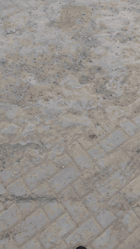 دراجه للبيع شاصي 20 مكينه وغراض 23 اصولي اوراق كامله وكيله عارضي مكينه جديده لا صوت لاتبخير سعره 600 وبيه مجال دراجه مو وياه راصطه ***********
