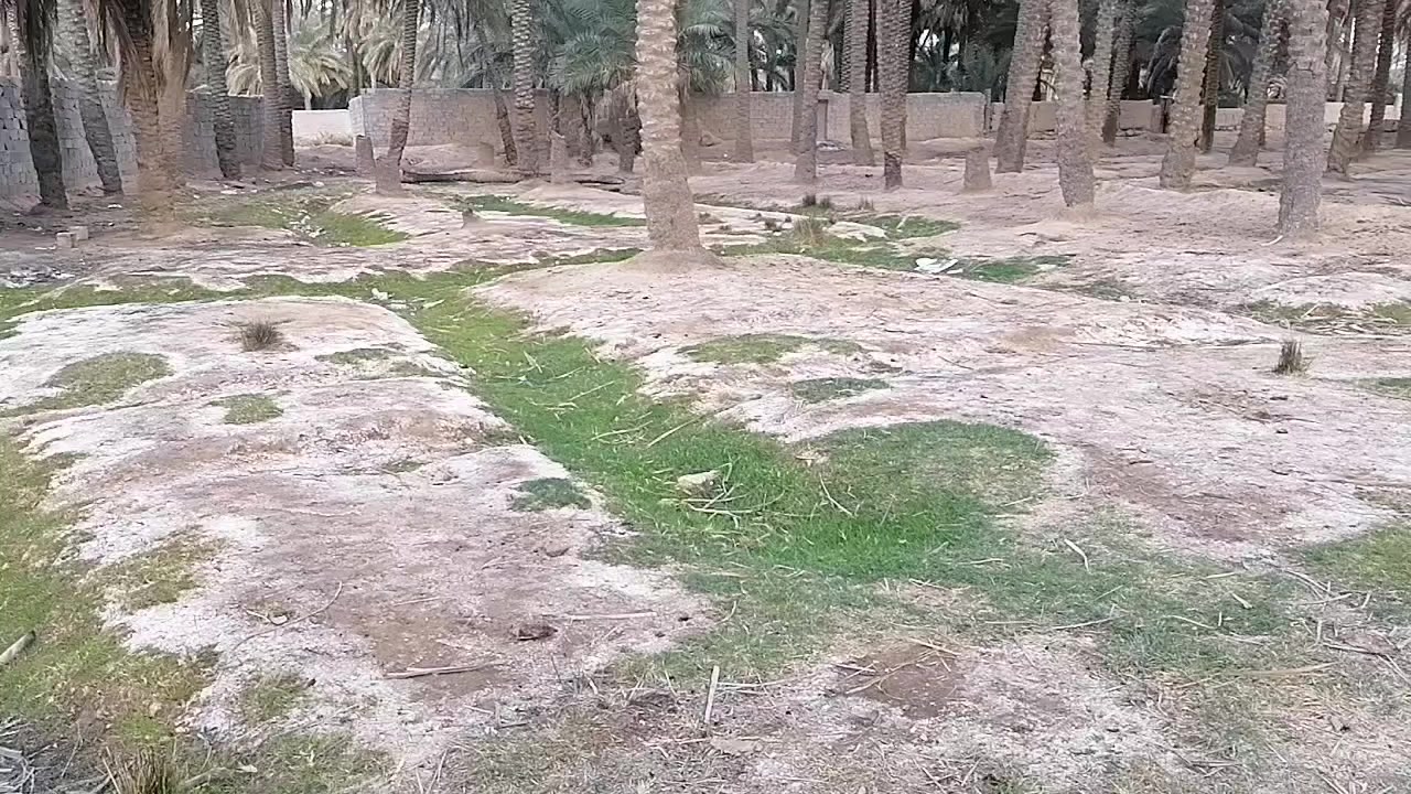 بستان للبيع مساحه ١٤٠٠متر في حي الورود
 موقع المكتب بلدروز حي العسكري مقابل المستوصف *********** ***********
