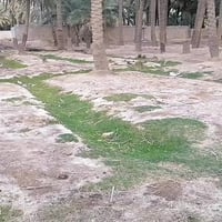 حي الورود • بستان • ١٤٠٠م