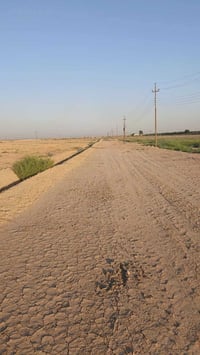 طابو زراعي • ٦٠ دونم • مقابل المستشفى اللبناني