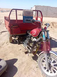 ستوته • ديوان • اورق