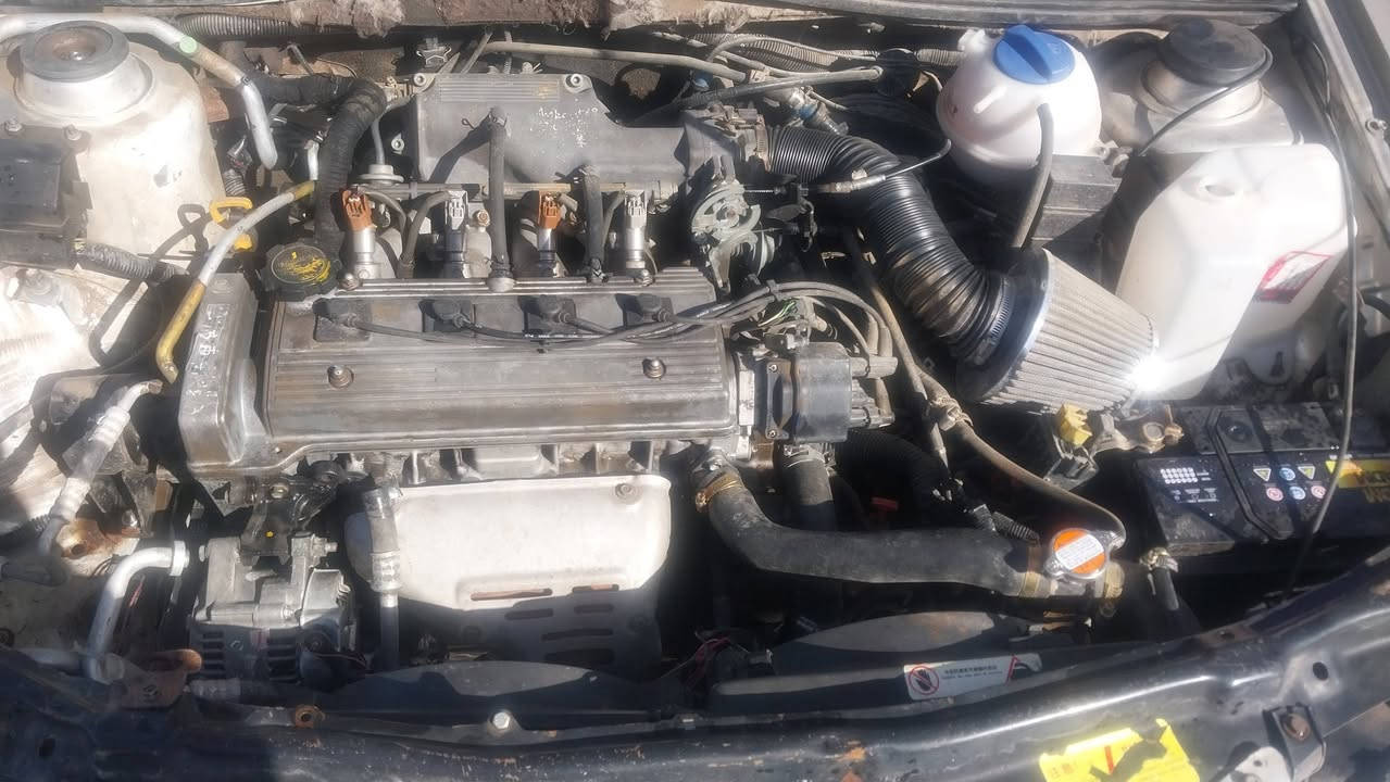 التفاصيل داخل الصور
