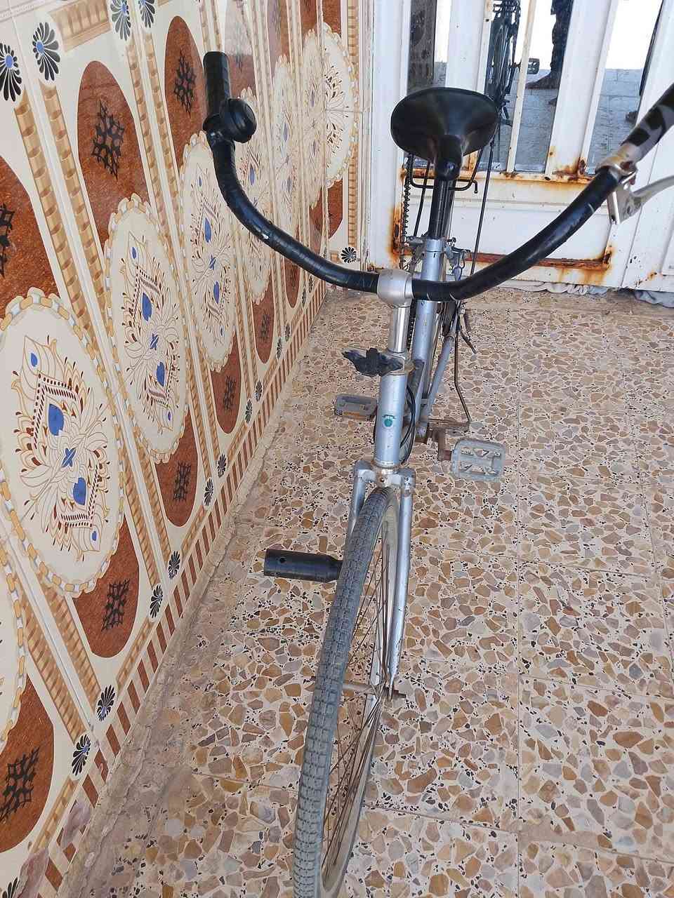 سلام عليكم بيسكل سعره 75 الف فقط ياباني ماكو توصيل


**إذا كنت صاحب هذا الإعلان وتريد حذفه لأي سبب، رجاءا أرسل رسالة إلى الدعم الفني**