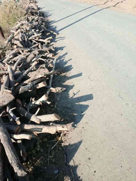 حطب  للبيع التواصل مع صاحبهن
***********
