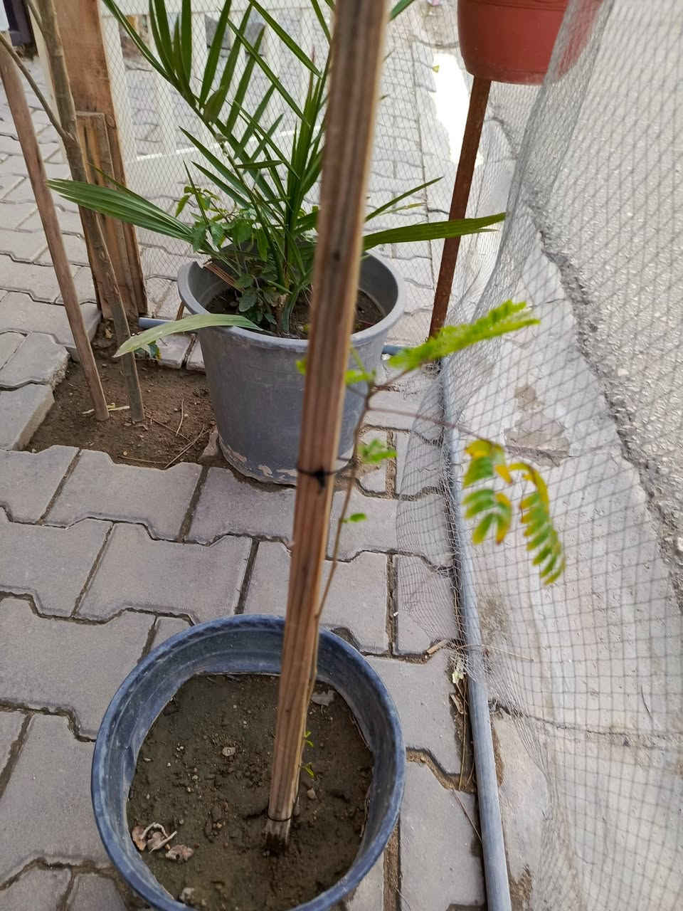 سلام عليكم حديقة للبيع بيه أكاسيا المصرية مع سندانات كثيره مكاني نجف


**إذا كنت صاحب هذا الإعلان وتريد حذفه لأي سبب، رجاءا أرسل رسالة إلى الدعم الفني**