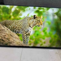 ٥٠ بوصة • سمارت أندرويد ١٥ • بدون ضمان