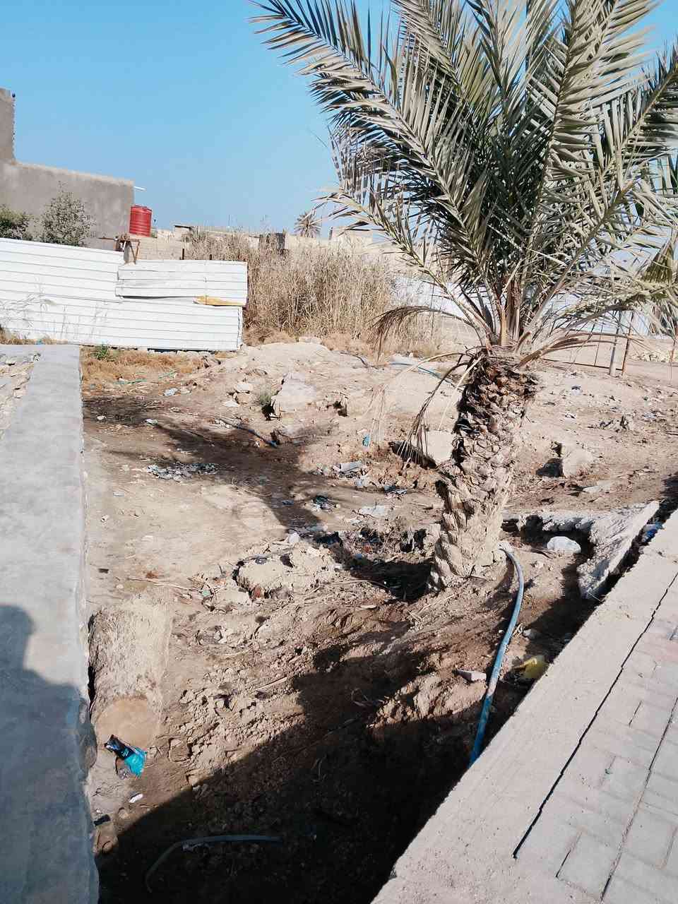 سلام عليكم ارض الا ستثمار او يجار بشارع المسبح وجها 15ونزل 15 الا ستفسار رقمي ***********
