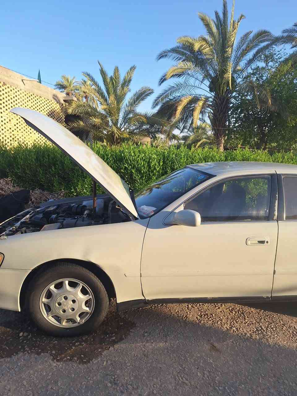 للبيع كرستا نفخ رقم نكليزي مكانه نجف  عباسيه مكينه نضيفه كير جديد تبريد سعره ٤٥ بيه مجال قليل ***********
