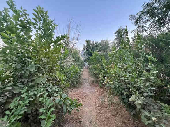 نــــــــرخی290گــــــــــــڵاومعملـــــــــــە فــــــــــەریای کــەوە
بـــاخــــــــە لــــــــە ســــــــەخـــــــلیـــــل کـــــریارانی ئــایــز
پــەلـــە بکـەولـەدەســــــــتێ خــــــــۆتی دەرمــــــــاکــــــــــــە

✅بـــاخ بۆ فڕۆشتن  هــــــەرزان مــــــــاڵی دۆســــــــــــتە

✅بــاخت ئەوێ ئــەم بــاخە لەدەست خۆت دەرمەکە

✍️سعڕی خوار ھەموو بازاڕە و خاوەنی زەرورە
لەمقابل خۆی و باخەکانی ئەو ناوچەیە بەلاشە

✍️ڕووبەری ١ دۆنمە ٢٥٠٠ مــەترە و ڕوکـــنیشە

✍️نیوەی داری بەریــە و نیوەی حەدیقە و خــانوو کاملی کـــاملە

✍️بە نزیکەی ٢٠٠ داری بەری تیایە 

✍️خانویەکی ٤٠ مەترت تیایە جگە لەسەر ئاو حمام

✅ناونیشان/حەولیەکە بەرامبەر کلاری نوێ سەرەتای جادەی سەی خەلیل پشت لیژنە ئەمنیەکە

✍️خاوەنی بەدڵ و بــەگیان بۆ خۆی کردوویەتی 

✅ئـــاو کــارەبای خۆی ھەیە لە ئــاو نابــڕێ بە شەرت

✅کـــامل نــاوماڵەی لــەگەڵدایـــە

✅شوێنەکەی دڵگیر و ئەمینە و مەترسی پرۆژە و ھیچی لەسەر نیە

✍️بـۆ زانینی نــرخی ئەم بــاخە خاڵێک لە کۆمێنت دابنێ ان شاءالله نــرخت پێ دەگـــا

✅ئــەتەوێ مـوڵک و مـاڵەکەت بــەزوترین کــات بـکەیتە پــارە تەنـھا لــەماڵی خـۆتەوە ئــەم پــێداویستیانەمان بـۆ بنێرە ⬇️ 
1️⃣-چەند وێنـەیەکی خانـوەکەت 
2️⃣-ناونیشـان و نـرخ و ڕووبەر
3️⃣-ژمـارەی مۆبــایلەکەت

✅بـۆ زانیـاری زیـاتر پــەیوەندیمـان پێو بکەن لەخـزمەتتاندا دەبـین⬇️
*********** هێمـــــــــــن پــــــــــاشــــــــــــــــــا
*********** پــــــــــــاشــــــــا بـــــــــــــــــاخ
