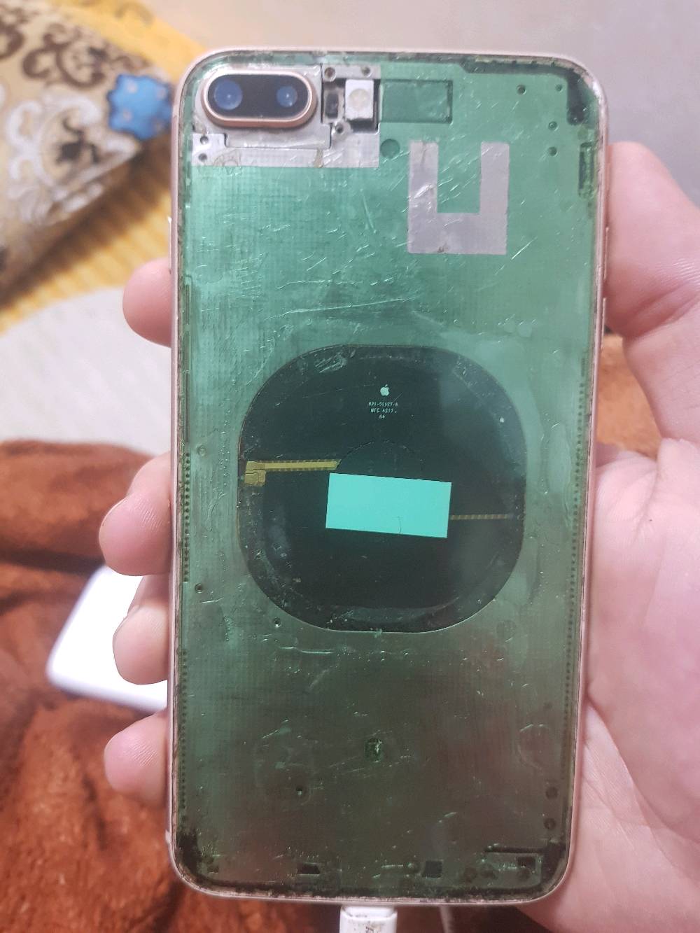 النجف في المطار
