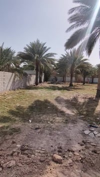 شارع البوري الاسود • ٥٠٠م • سند ٢٥