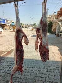 لحم هرفي • باجة • معلاك