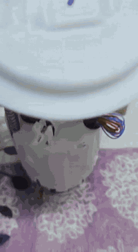 سلام عليكم ورحمة الله وبركاته
تم وصول قاعده فيت بم اصلي

شارجر اصلي

دبل فيت بم اصلي وكالة ضمان

العنوان النجف الاشرف حي العسكري يم أسواق آدم *********** محلات كاظم العابدي
